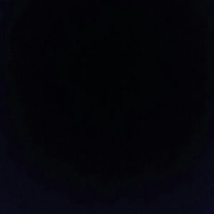 Meet your Posher, Corina