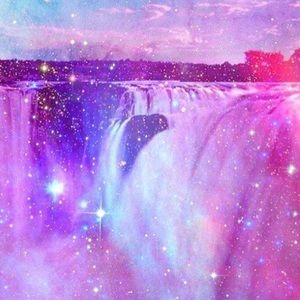 Meet your Posher, Rose