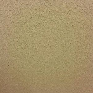 Meet your Posher, Alfonso