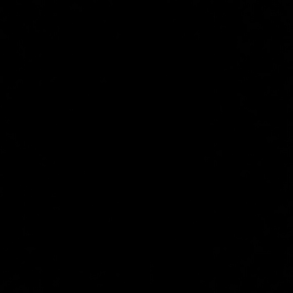 Meet your Posher, Emmy - Picture 1 of 1