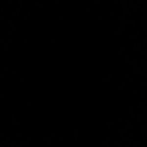 Meet your Posher, Emmy