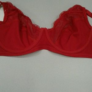 Delta burke bra