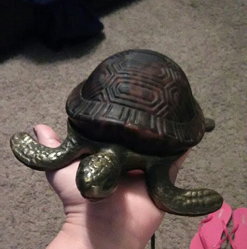 Meet your Posher, Kayla