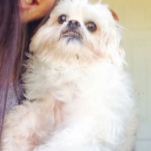 Meet your Posher, Wendy