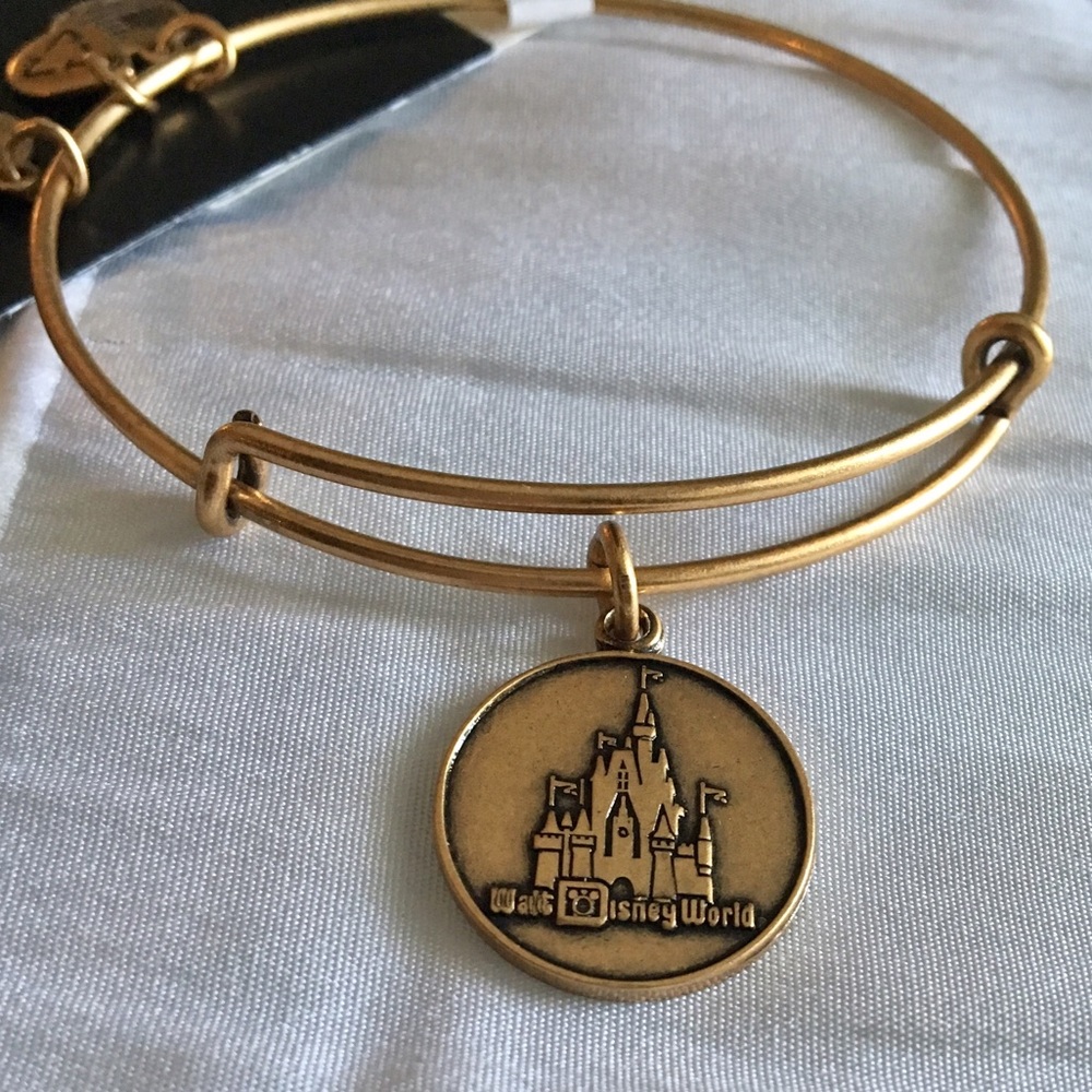 DISNEY ALEX & ANI 🌟🏰