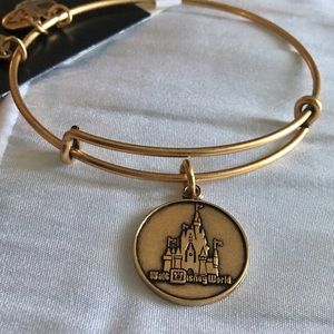 DISNEY ALEX & ANI 🌟🏰