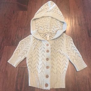 Fossil Sweater