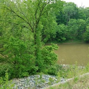 Meet your Posher, Karl