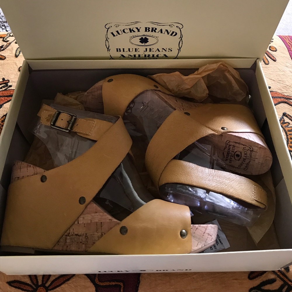 🍀 Lucky Brand Moran Platform