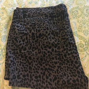 Torrid leopard print shorts