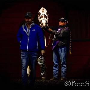 Meet your Posher, Daisy