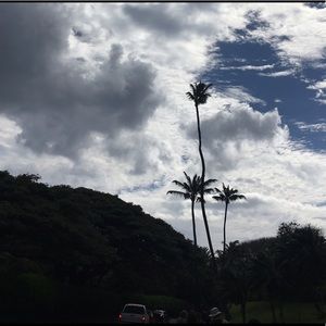 Meet your Posher, Roni