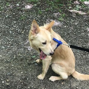 Meet your Posher, Bree