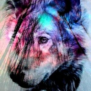 Meet your Posher, Kimber