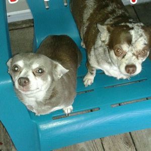 Meet your Posher, Erick