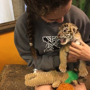 Meet your Posher, Anna