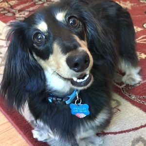 Meet your Posher, Elizabeth