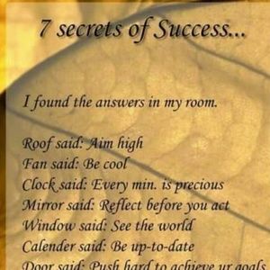 Meet your Posher, Amelework