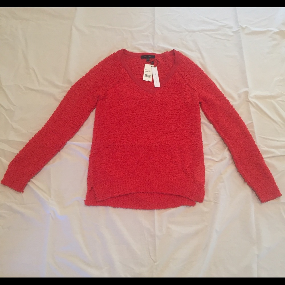 Sanctuary sweater