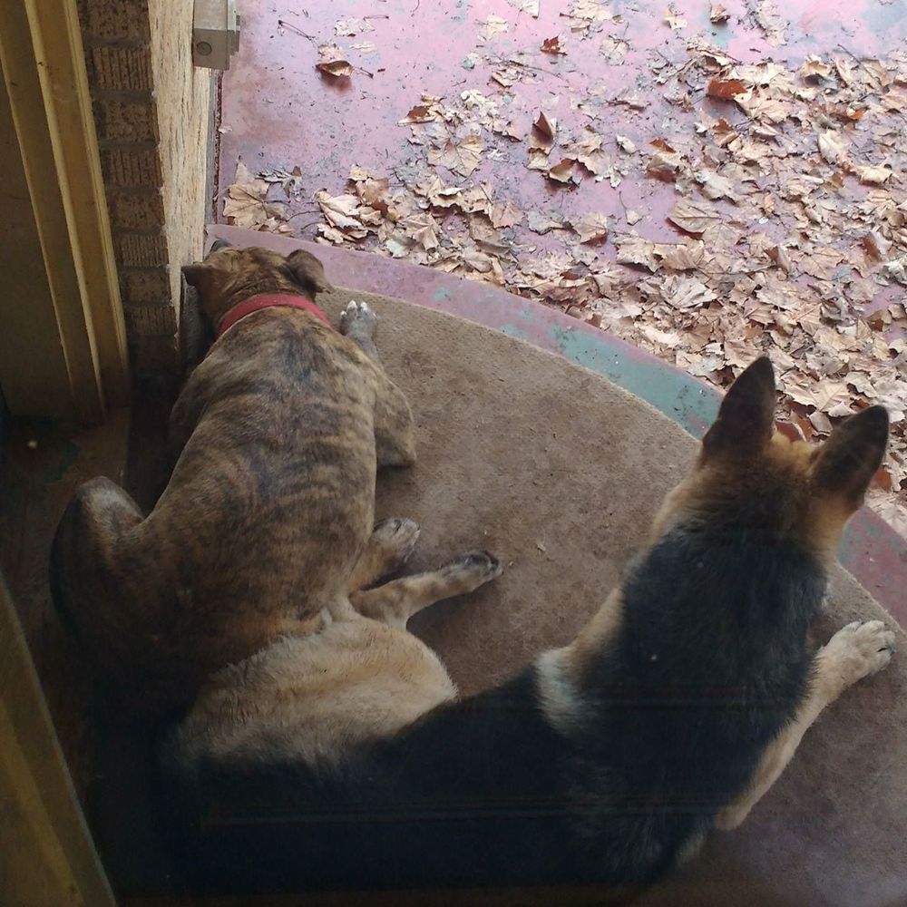 Meet your Posher, Bradley