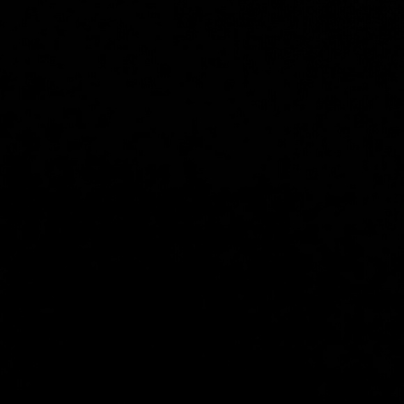 Meet your Posher, Isaiah - Picture 1 of 1