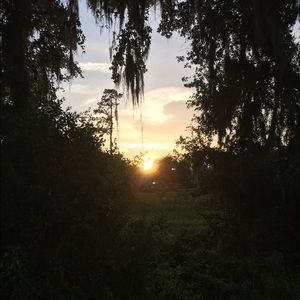 Meet your Posher, Lacey