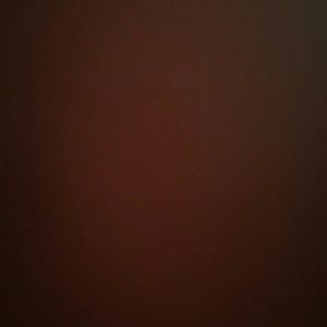 Meet your Posher, Merline