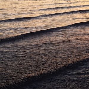 Meet your Posher, Javier