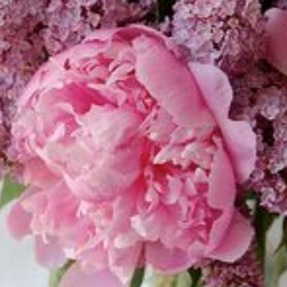 Welcome and About me!