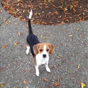 Meet your Posher, Diane