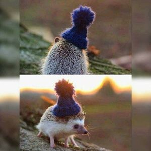 Meet your Posher, Skyler