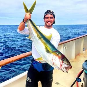 Meet your Posher, Tanner