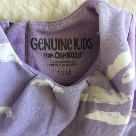 ⭐️SOLD⭐️Osh Kosh Fairytale Dress 12M - Picture 2 of 4