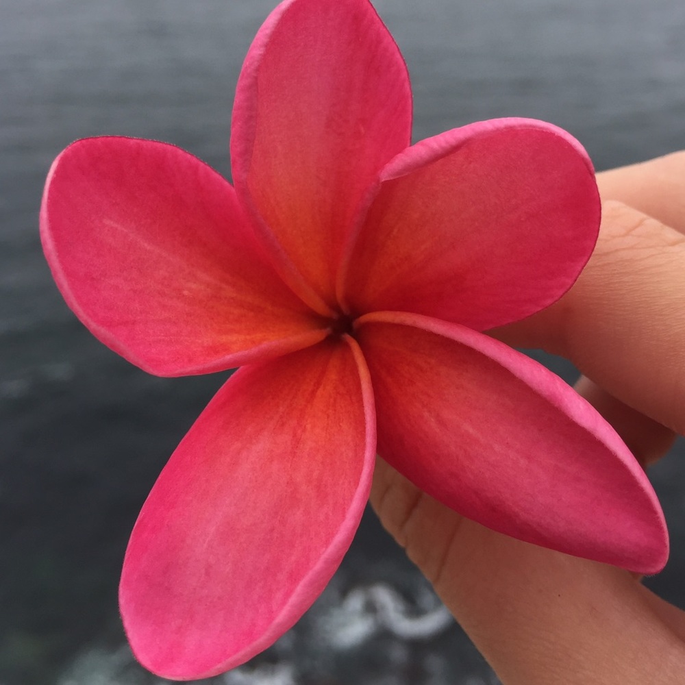 Meet your Posher, Isabel