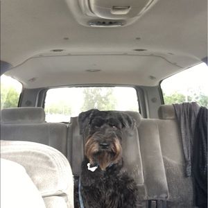 Meet your Posher, Ricky