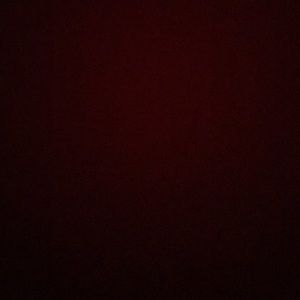 Meet your Posher, Annette