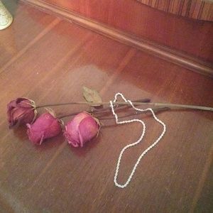 Silver rope necklace.