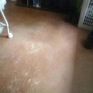 Meet your Posher, Colette