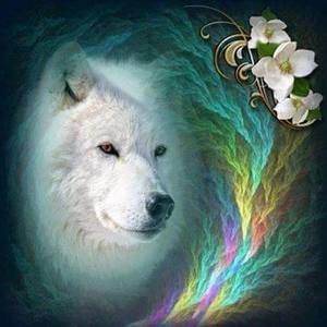 Meet your Posher, Patty