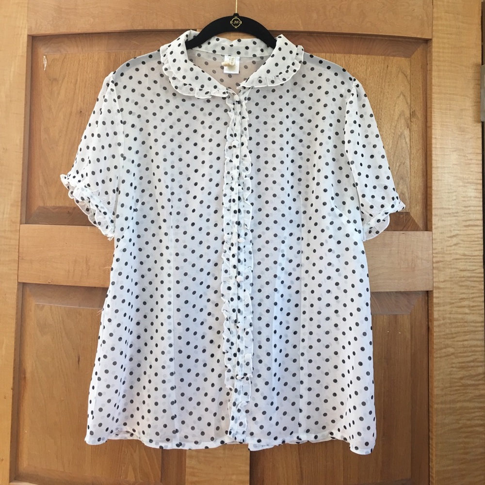 Secrets in Lace sheer vintage style blouse
