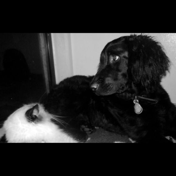 Meet your Posher, Jennifer - Picture 3 of 3