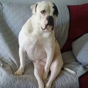 Meet your Posher, Dustin