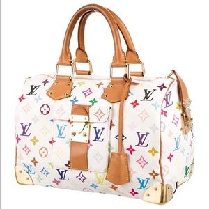 Luis Vuitton Multicolore Speedy 30 bag/purse