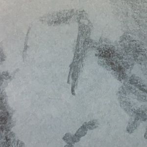 Meet your Posher, Rayna