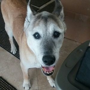 Meet your Posher, Terri