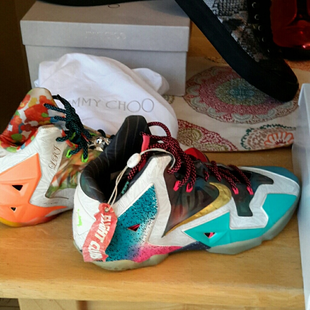 LeBron what thes and Jordan 5s