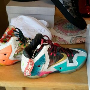 LeBron what thes and Jordan 5s