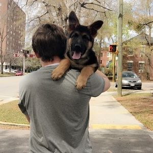 Meet your Posher, Savannah