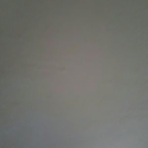 Meet your Posher, Genesis