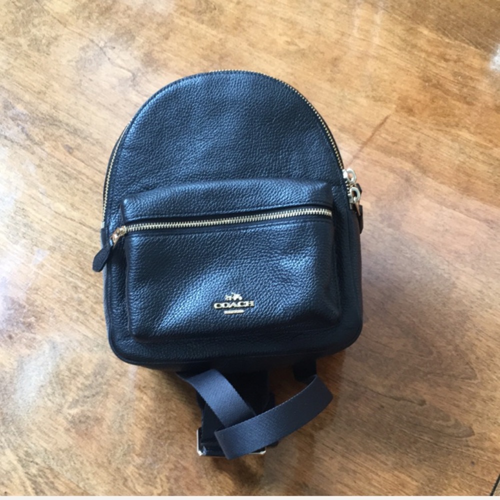 LAST ONE!! NWT Coach Mini Charlie Backpack Pebble - Picture 4 of 8